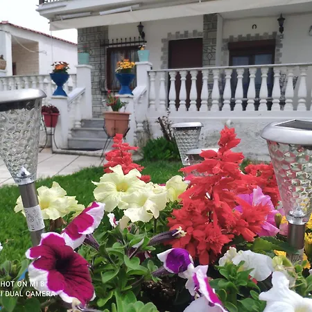 Dolphin Paradise * Sozopoli