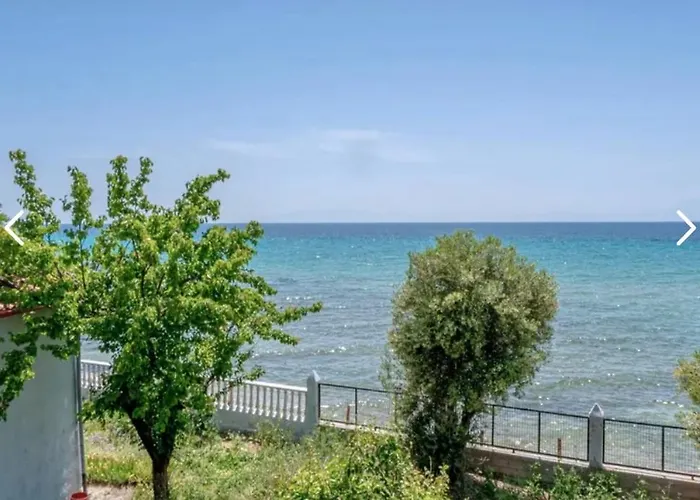 Tatil Evi Dolphin Paradise